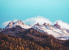 开云登录-安东尼心甘情愿打替补，因为开拓者给了他足够尊重